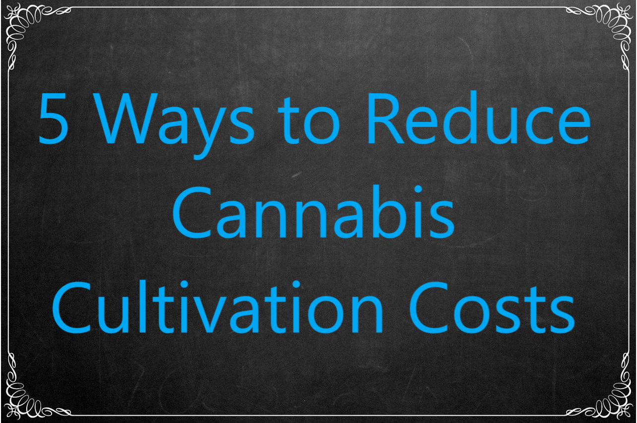 5 Ways To Reduce Operating Costs For Cannabis Cultivations